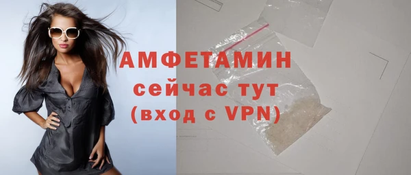 индика Волосово