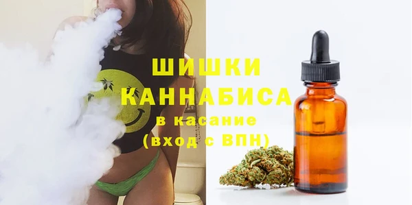 сатива Алексин
