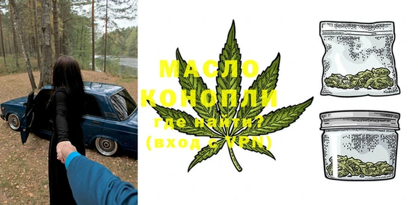 мдпв Гусь-Хрустальный