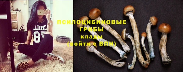 сатива Алексин