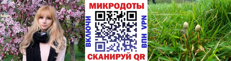 Псилоцибиновые грибы ЛСД  Нюрба 